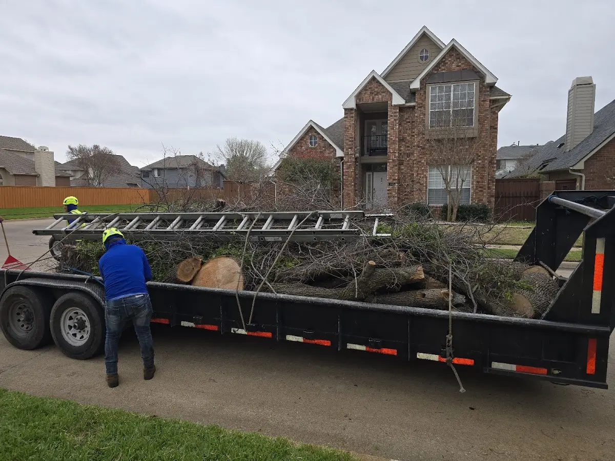 Expert Tree Pest Control with proper safety equipment in Haskell